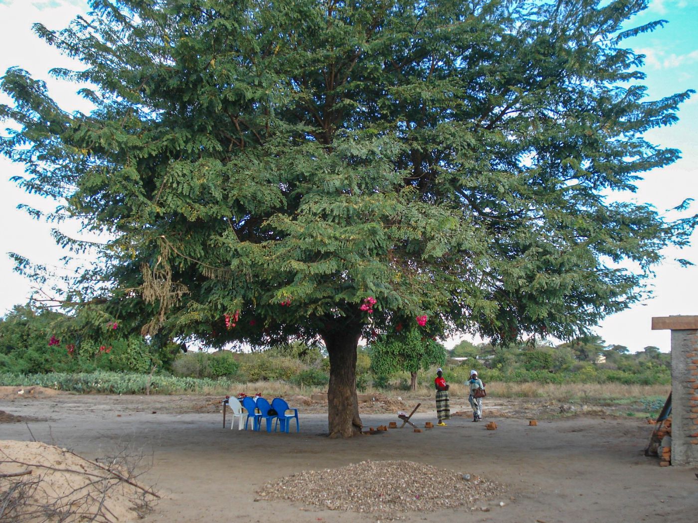 EKME Mozambik riport 6