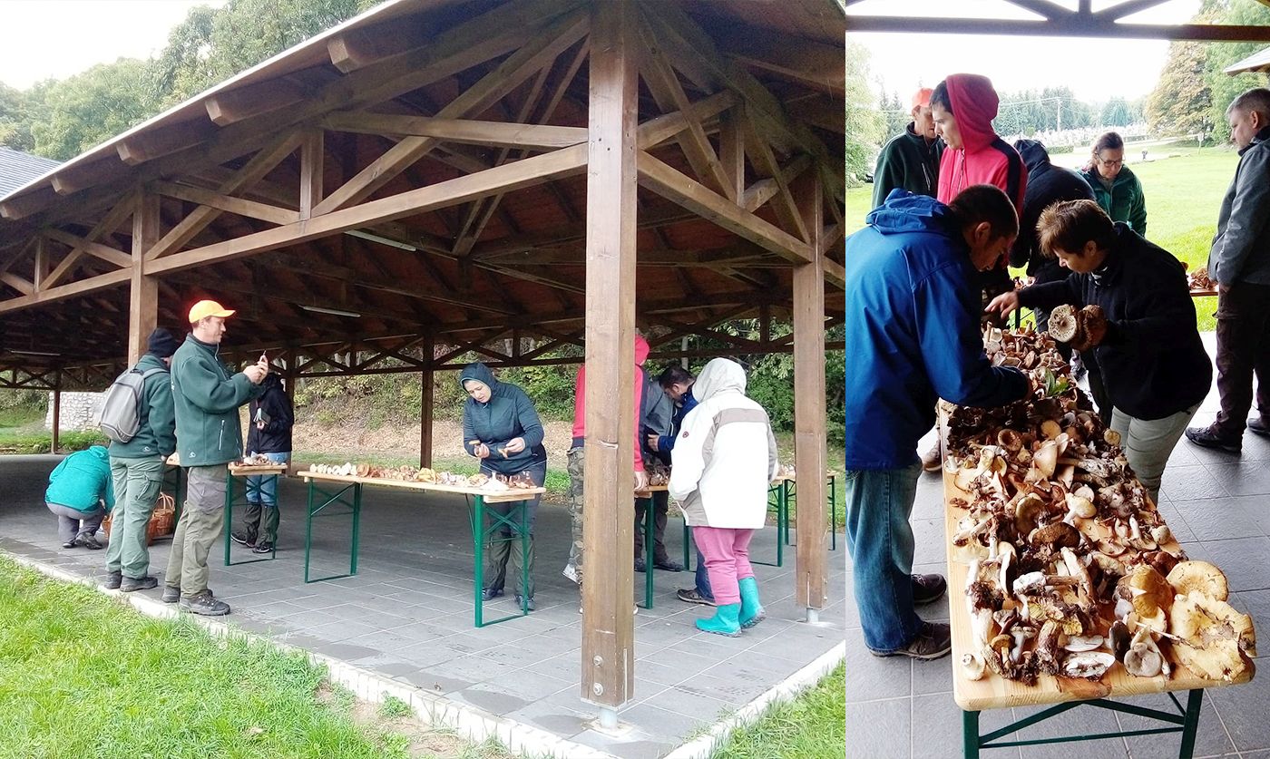 TH22 kepmontazs bakonytamas