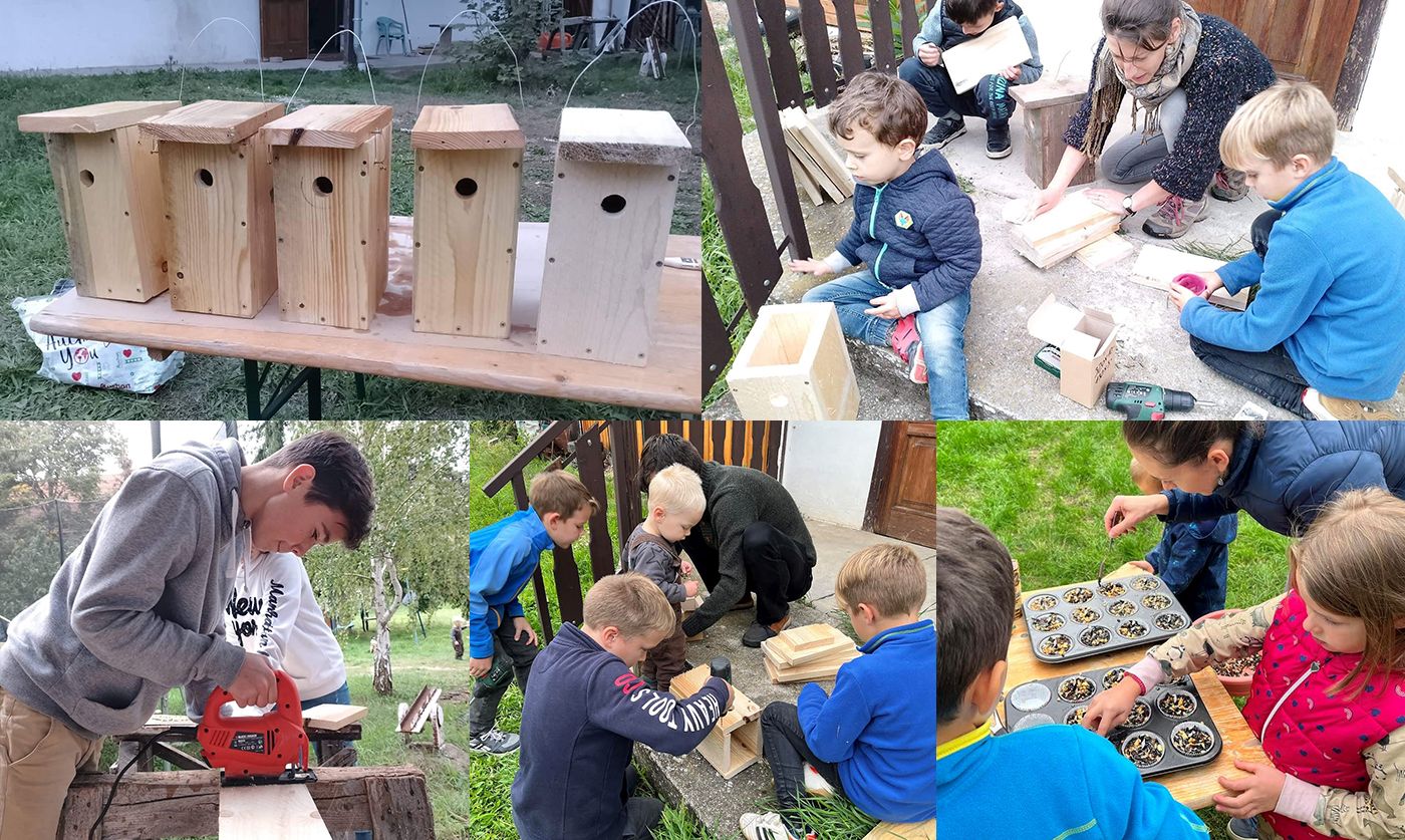 TH22 kepmontazs tordas