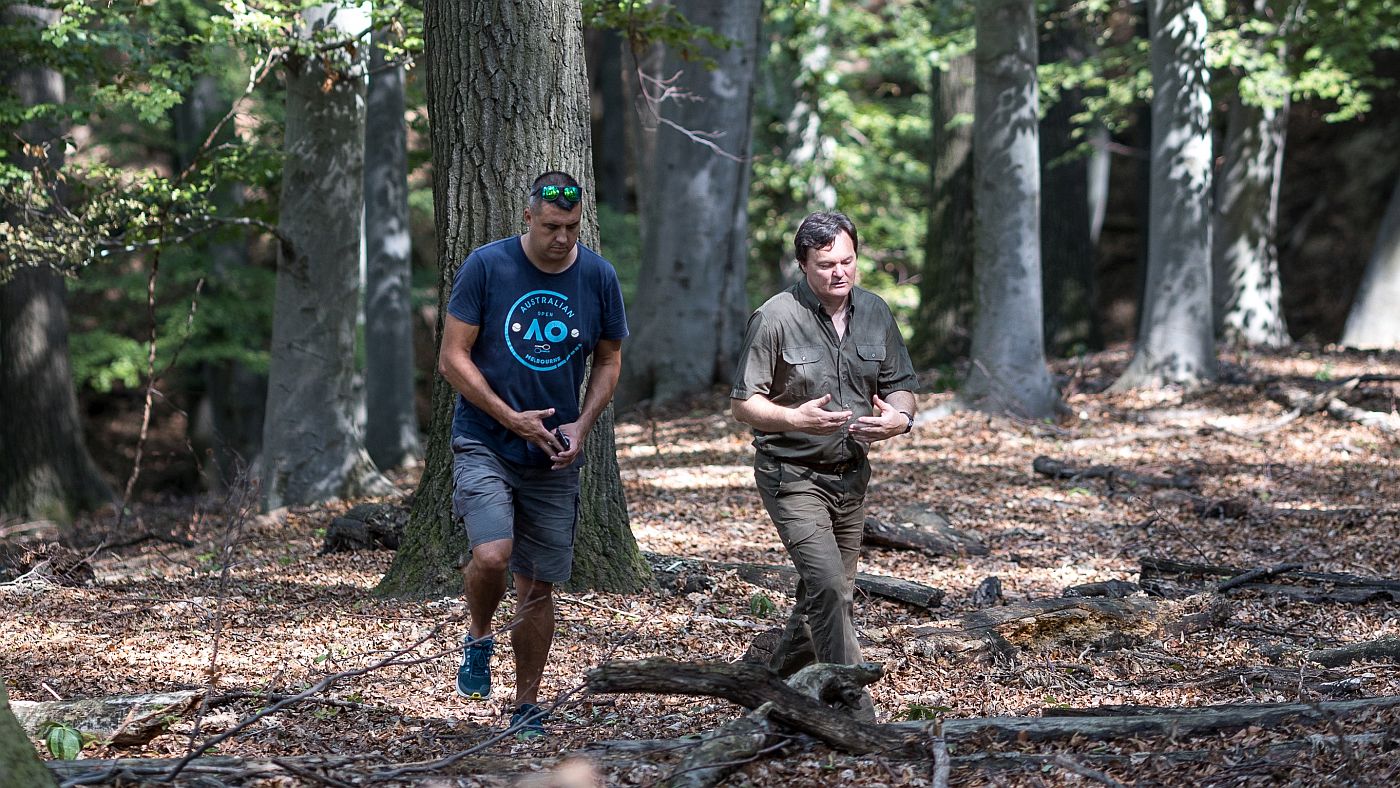 Szűcs János erdésszel a Váralja közeli erdőkben