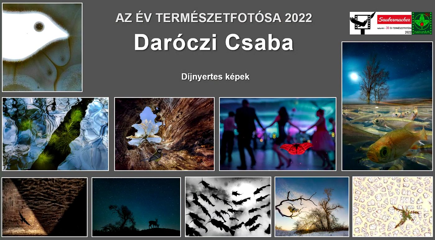 Daróczi Csaba díjnyertes fotói