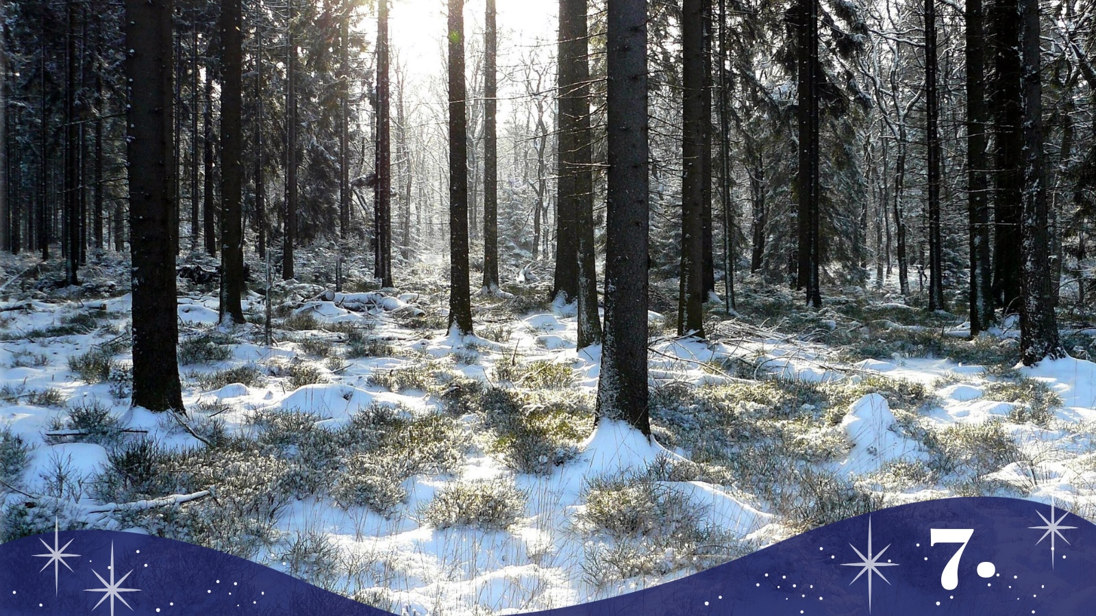 Adventi kalendárium 7. Lelki és szellemi útravaló a karácsonyig vezető útra