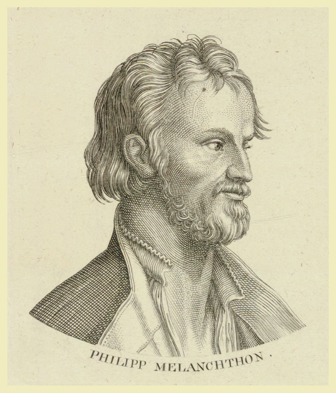 Philipp Melanchthon Albrecht Durer metszete nyoman